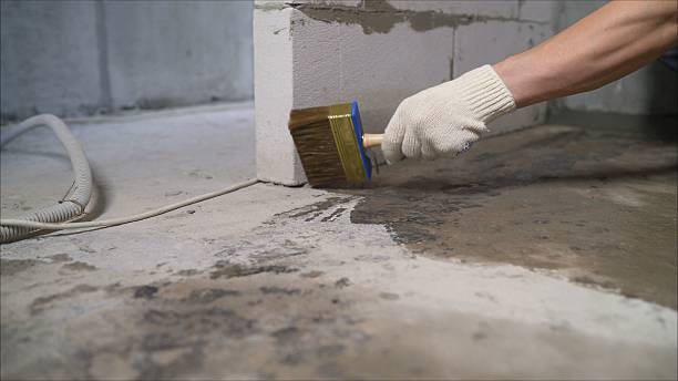 24/7 Emergency Wet Basement Repair experts in Chilo, OH